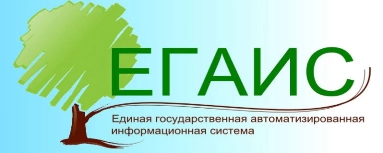 ЕГАИС лес: функционал, регистрация, работа в системе