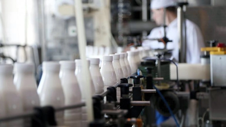 Маркировка и мониторинг молочной продукции через «Честный ЗНАК»: последние новости