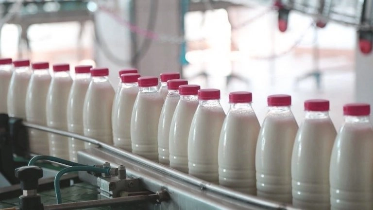 Требования к маркировке молочной продукции: последние новости